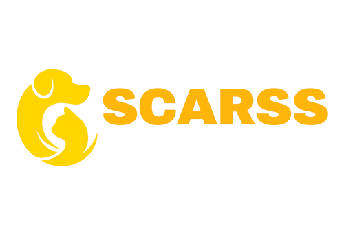 scarss